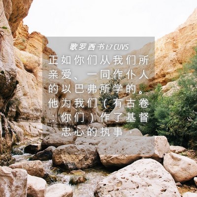 Picture 04 - 歌 罗 西 书 1:7 CUVS - 正 如 你 们 从 我 们 所 亲 爱 、 一 - Bible Verse Picture