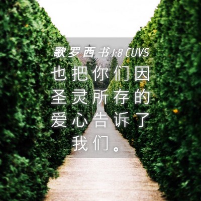 Picture 04 - 歌 罗 西 书 1:8 CUVS - 也 把 你 们 因 圣 灵 所 存 的 爱 心 - Bible Verse Picture