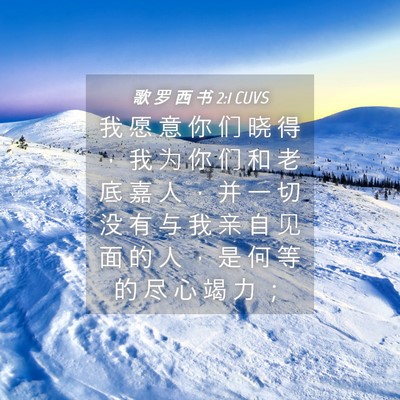 Picture 04 - 歌 罗 西 书 2:1 CUVS - 我 愿 意 你 们 晓 得 ， 我 为 你 们 - Bible Verse Picture