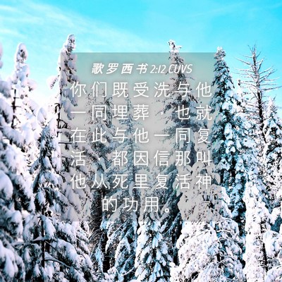 Picture 04 - 歌 罗 西 书 2:12 CUVS - 你 们 既 受 洗 与 他 一 同 埋 葬 ， - Bible Verse Picture