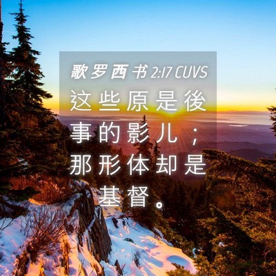 Picture 04 - 歌 罗 西 书 2:17 CUVS - 这 些 原 是 後 事 的 影 儿 ； 那 形 - Bible Verse Picture