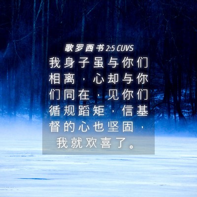 Picture 04 - 歌 罗 西 书 2:5 CUVS - 我 身 子 虽 与 你 们 相 离 ， 心 却 - Bible Verse Picture
