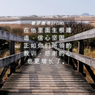 Picture 04 - 歌 罗 西 书 2:7 CUVS - 在 他 里 面 生 根 建 造 ， 信 心 坚 - Bible Verse Picture