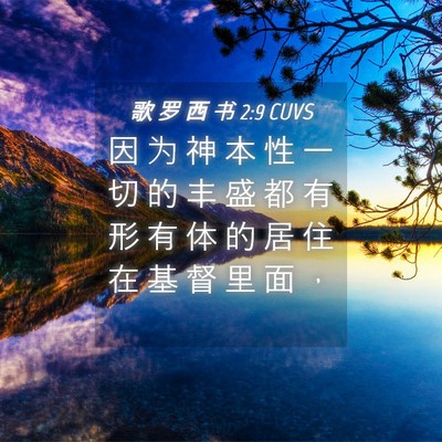 Picture 04 - 歌 罗 西 书 2:9 CUVS - 因 为 神 本 性 一 切 的 丰 盛 都 有 - Bible Verse Picture