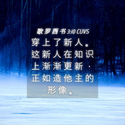 Picture 04 - 歌 罗 西 书 3:10 CUVS - 穿 上 了 新 人 。 这 新 人 在 知 识 - Bible Verse Picture
