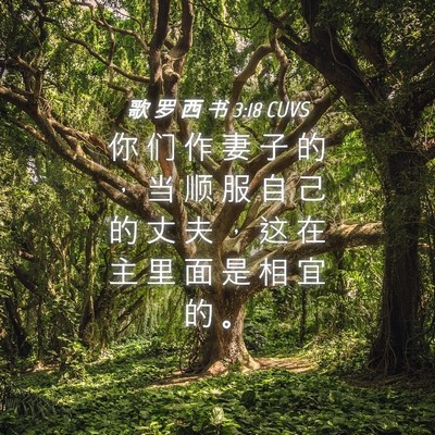 Picture 04 - 歌 罗 西 书 3:18 CUVS - 你 们 作 妻 子 的 ， 当 顺 服 自 己 - Bible Verse Picture