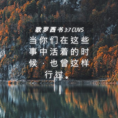 Picture 04 - 歌 罗 西 书 3:7 CUVS - 当 你 们 在 这 些 事 中 活 着 的 时 - Bible Verse Picture