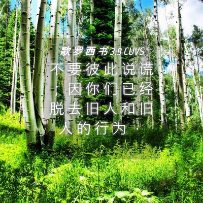 Picture 04 - 歌 罗 西 书 3:9 CUVS - 不 要 彼 此 说 谎 ； 因 你 们 已 经 - Bible Verse Picture
