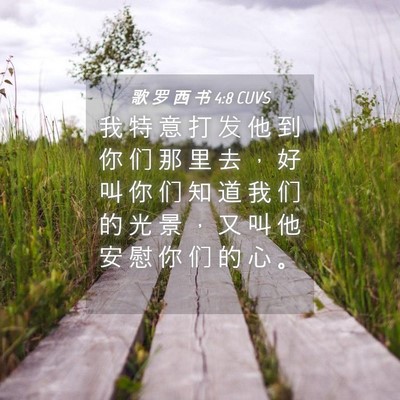 Picture 04 - 歌 罗 西 书 4:8 CUVS - 我 特 意 打 发 他 到 你 们 那 里 去 - Bible Verse Picture