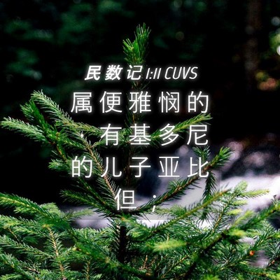 Picture 04 - 民 数 记 1:11 CUVS - 属 便 雅 悯 的 ， 有 基 多 尼 的 儿 - Bible Verse Picture