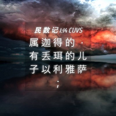 Picture 04 - 民 数 记 1:14 CUVS - 属 迦 得 的 ， 有 丢 珥 的 儿 子 以 - Bible Verse Picture