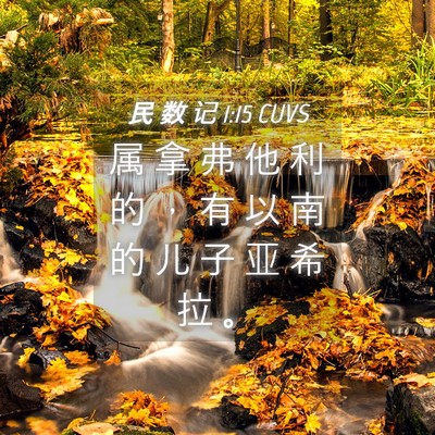 Picture 04 - 民 数 记 1:15 CUVS - 属 拿 弗 他 利 的 ， 有 以 南 的 儿 - Bible Verse Picture