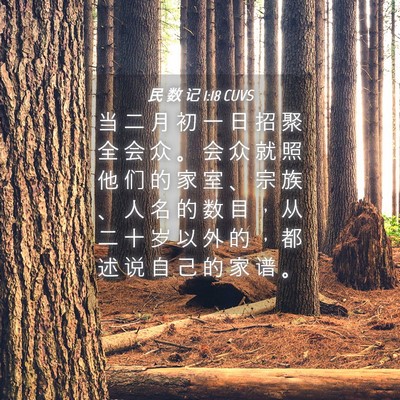 Picture 04 - 民 数 记 1:18 CUVS - 当 二 月 初 一 日 招 聚 全 会 众 。 - Bible Verse Picture