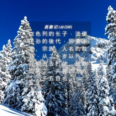 Picture 04 - 民 数 记 1:20 CUVS - 以 色 列 的 长 子 ， 流 便 子 孙 的 - Bible Verse Picture