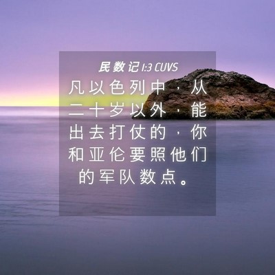 Picture 04 - 民 数 记 1:3 CUVS - 凡 以 色 列 中 ， 从 二 十 岁 以 外 - Bible Verse Picture