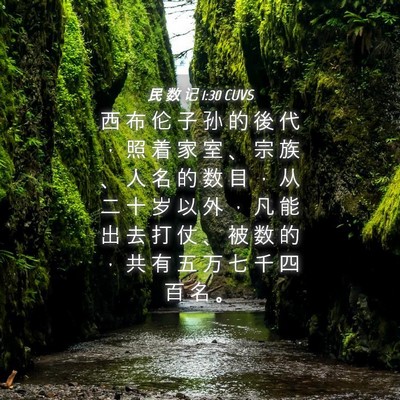 Picture 04 - 民 数 记 1:30 CUVS - 西 布 伦 子 孙 的 後 代 ， 照 着 家 - Bible Verse Picture