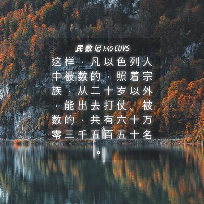 Picture 04 - 民 数 记 1:45 CUVS - 这 样 ， 凡 以 色 列 人 中 被 数 的 - Bible Verse Picture