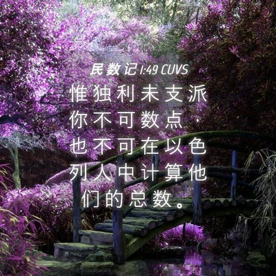 Picture 04 - 民 数 记 1:49 CUVS - 惟 独 利 未 支 派 你 不 可 数 点 ， - Bible Verse Picture
