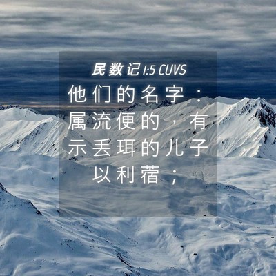 Picture 04 - 民 数 记 1:5 CUVS - 他 们 的 名 字 ： 属 流 便 的 ， 有 - Bible Verse Picture