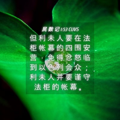 Picture 04 - 民 数 记 1:53 CUVS - 但 利 未 人 要 在 法 柜 帐 幕 的 四 - Bible Verse Picture