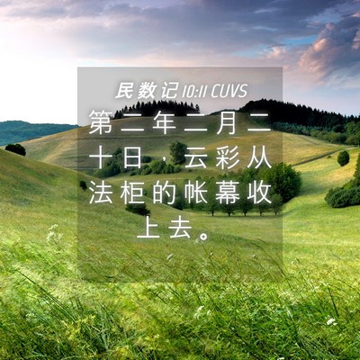 Picture 04 - 民 数 记 10:11 CUVS - 第 二 年 二 月 二 十 日 ， 云 彩 从 - Bible Verse Picture