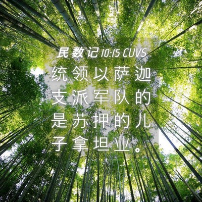 Picture 04 - 民 数 记 10:15 CUVS - 统 领 以 萨 迦 支 派 军 队 的 是 苏 - Bible Verse Picture