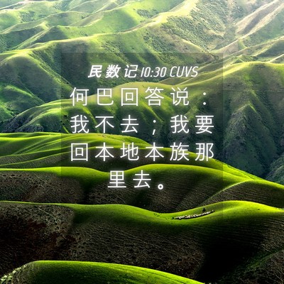 Picture 04 - 民 数 记 10:30 CUVS - 何 巴 回 答 说 ： 我 不 去 ； 我 要 - Bible Verse Picture