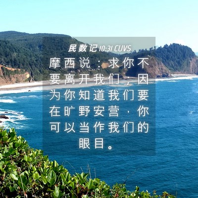Picture 04 - 民 数 记 10:31 CUVS - 摩 西 说 ： 求 你 不 要 离 开 我 们 - Bible Verse Picture
