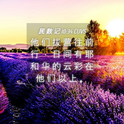 Picture 04 - 民 数 记 10:34 CUVS - 他 们 拔 营 往 前 行 ， 日 间 有 耶 - Bible Verse Picture