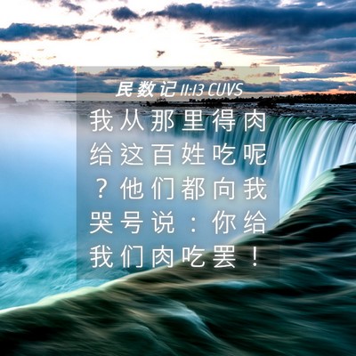 Picture 04 - 民 数 记 11:13 CUVS - 我 从 那 里 得 肉 给 这 百 姓 吃 呢 - Bible Verse Picture