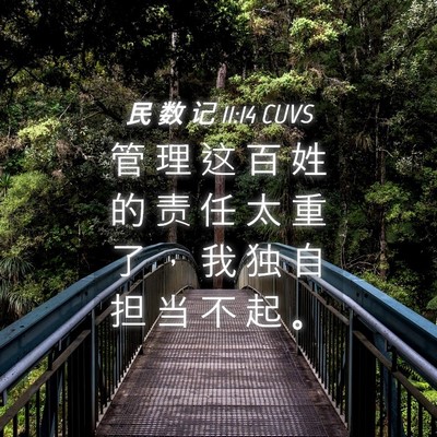 Picture 04 - 民 数 记 11:14 CUVS - 管 理 这 百 姓 的 责 任 太 重 了 ， - Bible Verse Picture