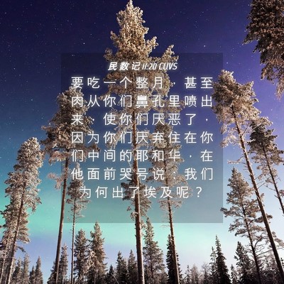 Picture 04 - 民 数 记 11:20 CUVS - 要 吃 一 个 整 月 ， 甚 至 肉 从 你 - Bible Verse Picture
