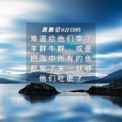 Picture 04 - 民 数 记 11:22 CUVS - 难 道 给 他 们 宰 了 羊 群 牛 群 ， - Bible Verse Picture