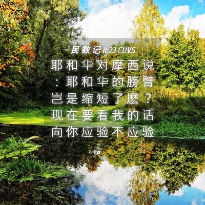 Picture 04 - 民 数 记 11:23 CUVS - 耶 和 华 对 摩 西 说 ： 耶 和 华 的 - Bible Verse Picture