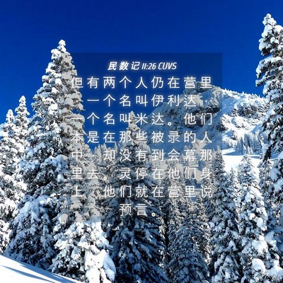 Picture 04 - 民 数 记 11:26 CUVS - 但 有 两 个 人 仍 在 营 里 ， 一 个 - Bible Verse Picture
