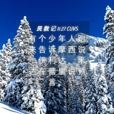 Picture 04 - 民 数 记 11:27 CUVS - 有 个 少 年 人 跑 来 告 诉 摩 西 说 - Bible Verse Picture