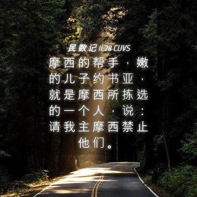 Picture 04 - 民 数 记 11:28 CUVS - 摩 西 的 帮 手 ， 嫩 的 儿 子 约 书 - Bible Verse Picture