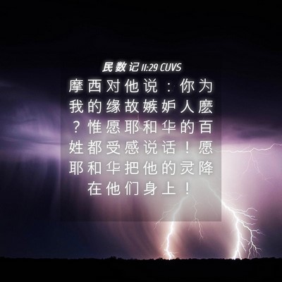 Picture 04 - 民 数 记 11:29 CUVS - 摩 西 对 他 说 ： 你 为 我 的 缘 故 - Bible Verse Picture