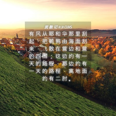 Picture 04 - 民 数 记 11:31 CUVS - 有 风 从 耶 和 华 那 里 刮 起 ， 把 - Bible Verse Picture