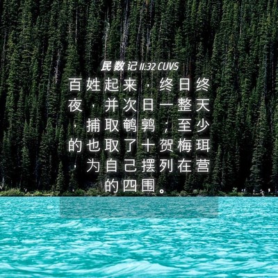 Picture 04 - 民 数 记 11:32 CUVS - 百 姓 起 来 ， 终 日 终 夜 ， 并 次 - Bible Verse Picture