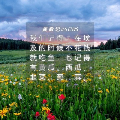 Picture 04 - 民 数 记 11:5 CUVS - 我 们 记 得 ， 在 埃 及 的 时 候 不 - Bible Verse Picture