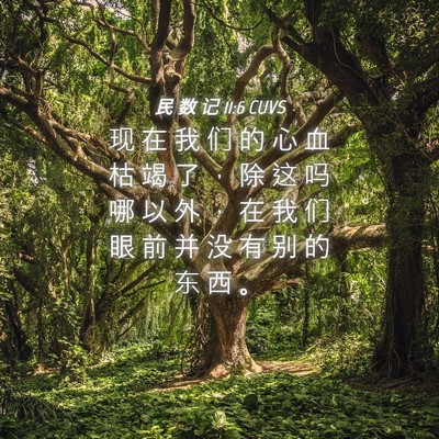 Picture 04 - 民 数 记 11:6 CUVS - 现 在 我 们 的 心 血 枯 竭 了 ， 除 - Bible Verse Picture