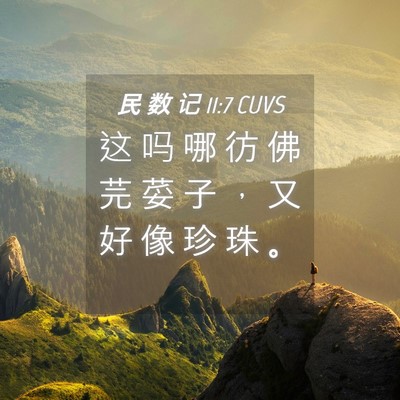 Picture 04 - 民 数 记 11:7 CUVS - 这 吗 哪 彷 佛 芫 荽 子 ， 又 好 像 - Bible Verse Picture
