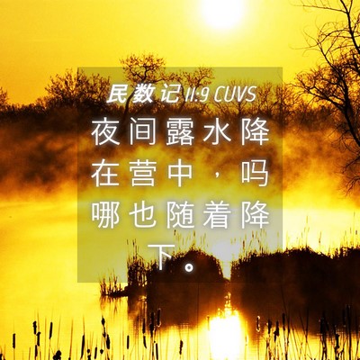 Picture 04 - 民 数 记 11:9 CUVS - 夜 间 露 水 降 在 营 中 ， 吗 哪 也 - Bible Verse Picture