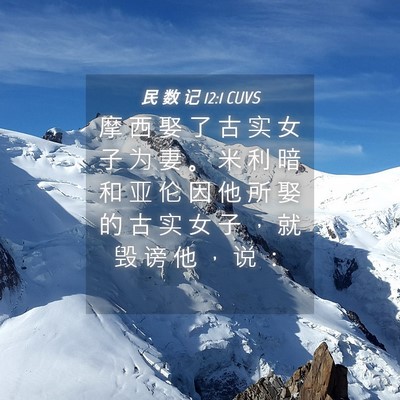 Picture 04 - 民 数 记 12:1 CUVS - 摩 西 娶 了 古 实 女 子 为 妻 。 米 - Bible Verse Picture