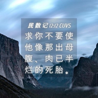 Picture 04 - 民 数 记 12:12 CUVS - 求 你 不 要 使 他 像 那 出 母 腹 、 - Bible Verse Picture