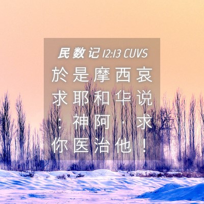 Picture 04 - 民 数 记 12:13 CUVS - 於 是 摩 西 哀 求 耶 和 华 说 ： 神 - Bible Verse Picture