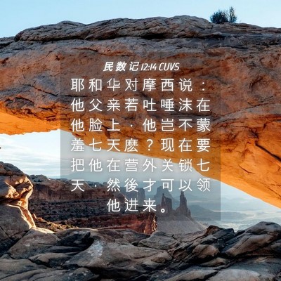 Picture 04 - 民 数 记 12:14 CUVS - 耶 和 华 对 摩 西 说 ： 他 父 亲 若 - Bible Verse Picture