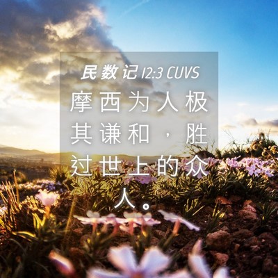 Picture 04 - 民 数 记 12:3 CUVS - 摩 西 为 人 极 其 谦 和 ， 胜 过 世 - Bible Verse Picture