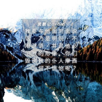 Picture 04 - 民 数 记 12:8 CUVS - 我 要 与 他 面 对 面 说 话 ， 乃 是 - Bible Verse Picture